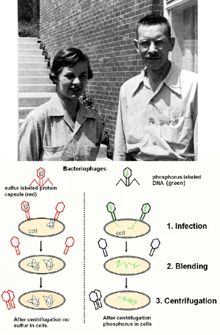 Trigésimo Primer Evento