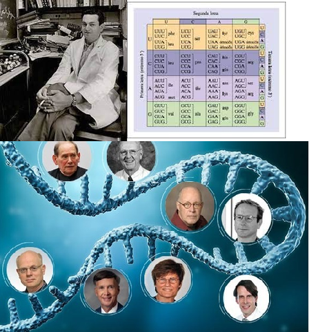 Trigésimo Tercero Evento