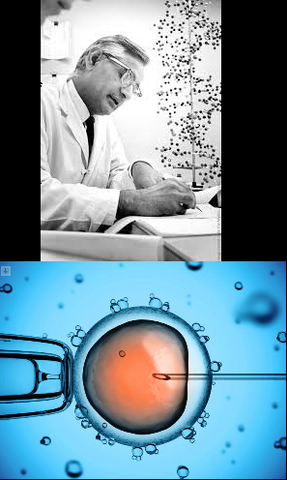 Trigésimo Sexto Evento