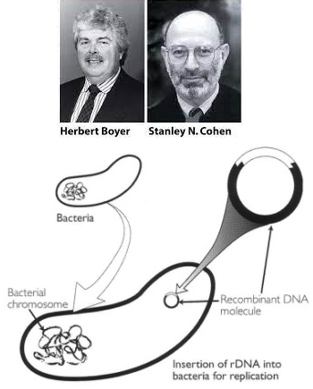 Trigésimo Sexto Evento