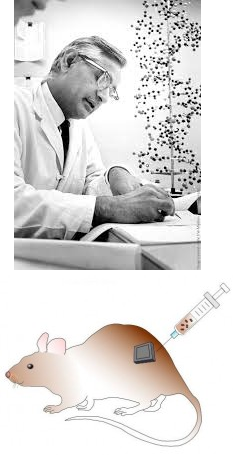 Trigésimo Octavo Evento