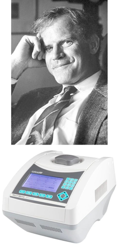 Cuadragésimo Segundo Evento