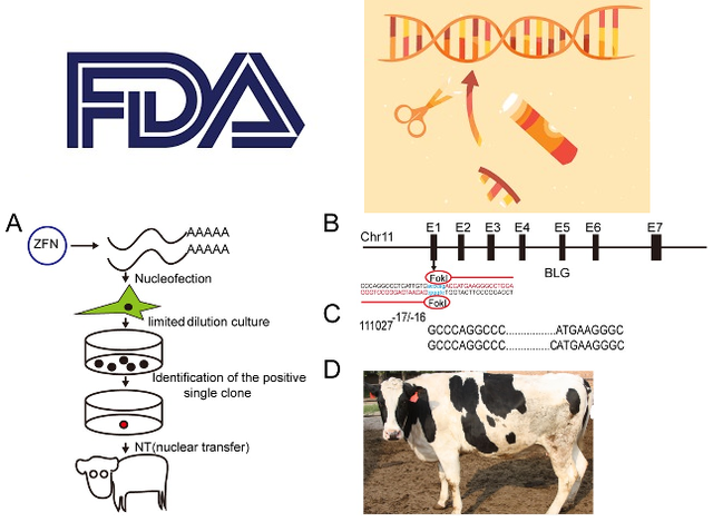Cuadragésimo Cuarto Evento