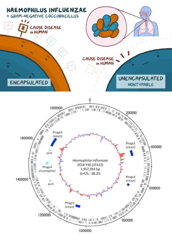 Cuadragésimo Sexto Evento