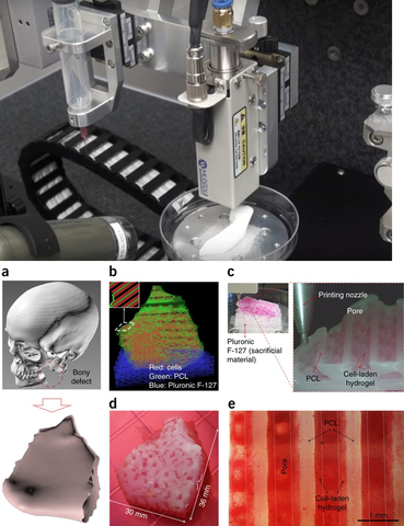 Quincuagésimo Tercer Evento