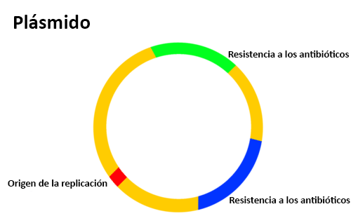 Construcción de nuevas especies de plásmidos de ADN por Stanley Cohen, Annie Chang de La universidad de Stanford y Herbert Helling de la Universidad de San Francisco