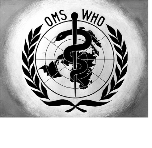 Gründung der WHO