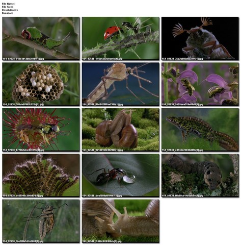 ORGANISMO COMPLEJISIMO..!