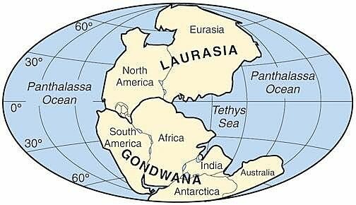UN NOU CONTINENT: GONDWANA I LA CAPA D' OZÓ
