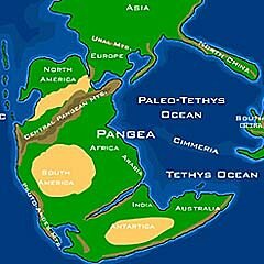 PANGEA ES FRAGMENTA I EL PETROLI