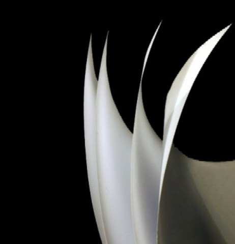 DEL PERGAMÍ AL PAPER