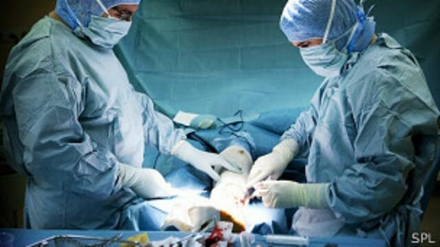 EXPERIMENTA CON ANESTESIA QUIRÚRGICA