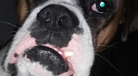 Timeline: Games that I play release dates in order