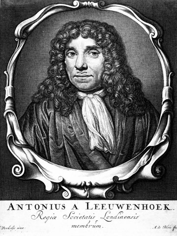 Antonie van Leeuwenhoek