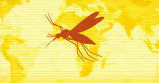 Pandemia de fiebre amarilla