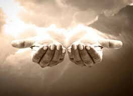 Stopped the study of medicine, why?