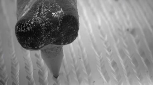 disques à microsillon