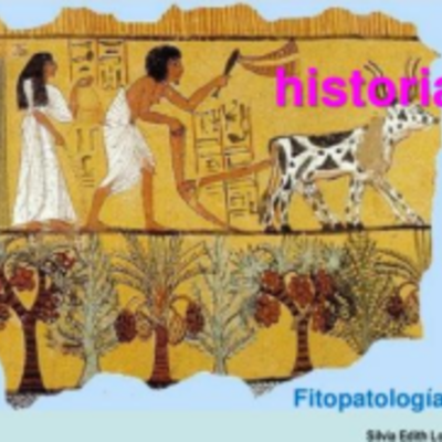 Timeline: Historia, Efecto Causa en el Desarrollo de la Patología y Fitopatología, Auspiciado por la Ciencia, Medina e investigación_Juan Carlos Solarte