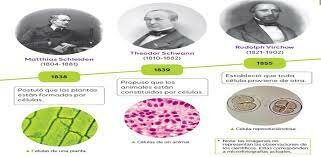APORTACIONES POR PARTE DE LOS CIENTIFICIOS SOCIALES Y POR SUS TEORIAS ELABORADAS SOBRE LA FAMILIA.