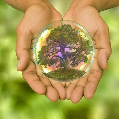 Timeline: EL GENESISI DE LA SUSTENTABILIDAD