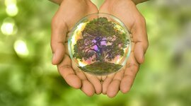 Timeline: EL GENESISI DE LA SUSTENTABILIDAD