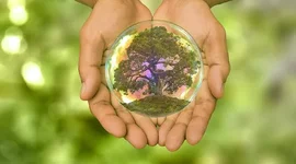 Timeline: El génesis de la sustentabilidad_Jose Gonzalez_U12022A”