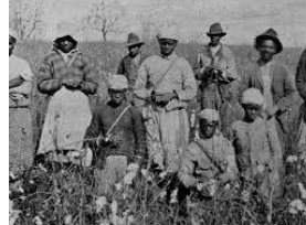 Black Laws