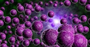 Emil von Behring y Shibasaburo Kitasato