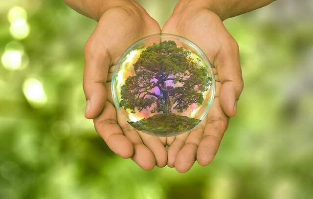 Europa elabora el V programa de accion a la comunidad