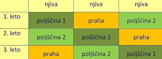 Triletno kolobarjenje