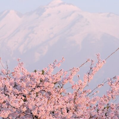 Timeline: Первое событие