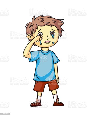 Mis primeros comportamientos