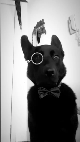 Llegada de Simón a la familia