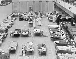 Flu Pandemic