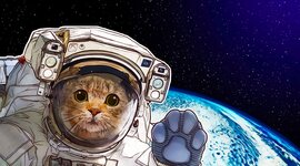 Timeline: Space Exploration Timeline