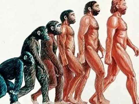 Aparició dels primers homínids