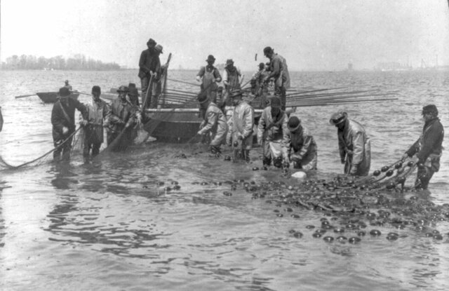 Philadelphia committee led by Benjamin Franklin attempts to regulate waste disposal and water pollution.