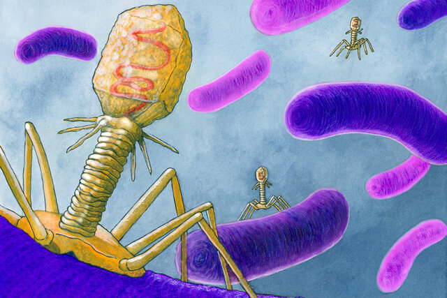 Los microbios patógenos