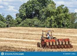 1960 - La revolución verde