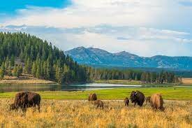 National parks invented