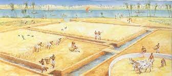 prve stalno naseljene poljedelske kulture na rodovitnih območjih ob Nilu