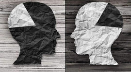 Timeline: La Psicología Política