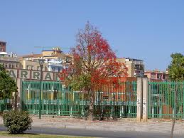 curso de entrenadora