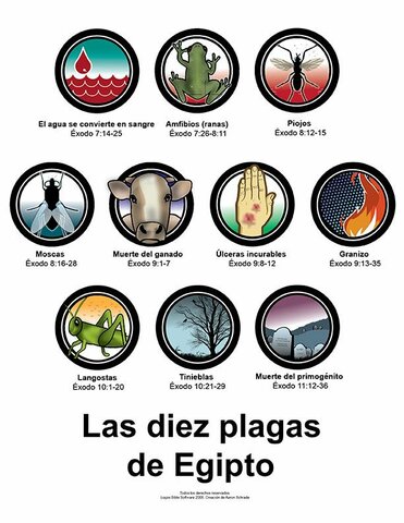 Diez Plagas