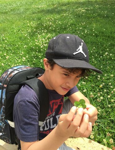 Vaig encontrar un trébol de 4 fulles