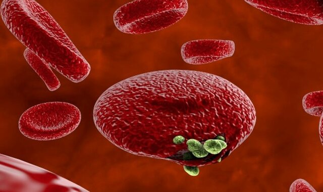 Descubrimiento de la vacuna contra la malaria