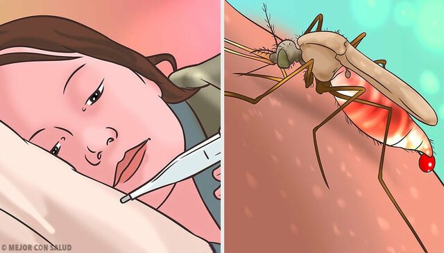 Trabajo contra la fiebre amarilla