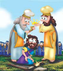 David is apointed king