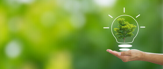 desarrollo de las conferencias de Naciones Unidas sobre el medio ambiente (Consejo de Desarrollo Sustentable)