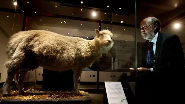 Se clona la oveja Dolly